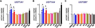 Pregnancy-Related Hormones Increase UGT1A1-Mediated Labetalol Metabolism in Human Hepatocytes
